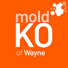 Mold KO of Wayne